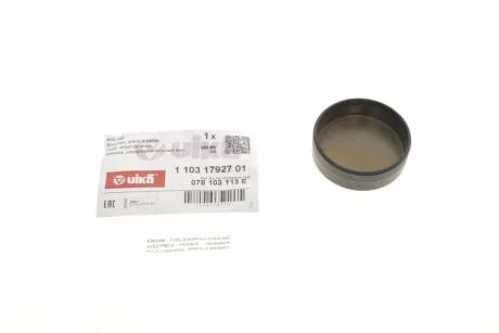Заглушка головки блока VW Passat (96-00,00-05),Touareg (02-10,10-) vika Vika 11031792701