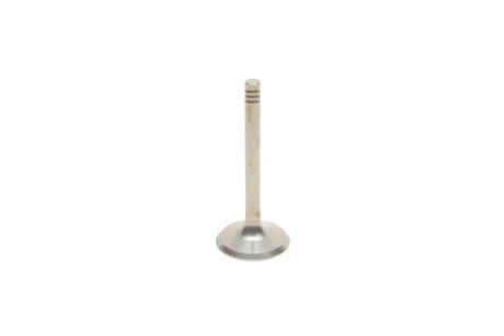 Клапан впускной VW Golf (84-98),Jetta (84-92),Passat (88-97),T4 (91-04)/Seat Ibiza (93-96),Toledo (92-96) Vika 11090177201