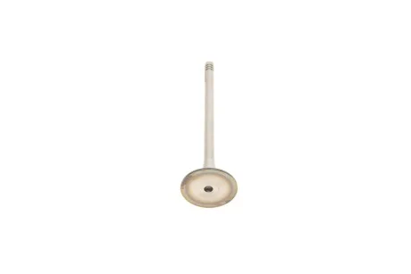 Клапан выпускной Skoda Octavia (96-00)/VW Golf (97-05)/Audi A4 (94-01),A6 vika Vika 11090217001