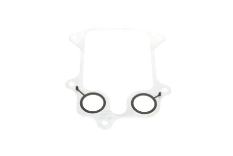 Прокладка масляного радіатора Vika 11151786401