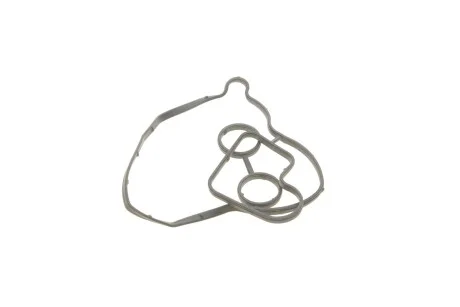 Прокладка масляного радіатора VW Touareg/Audi A4, A4 Allroad, A5, A6, A7, A8, Q5, Q7 3.0D (07-) VIKA Vika 11171702801
