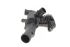 Корпус термостата 87град Skoda Fabia (11-),Fabia (09-14),Roomster (11-)/VW Polo (10-14)/Seat Ibiza (09-12) VIKA Vika 11211619801 (фото 3)