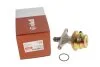 Насос топливный VW Golf (86-92),Jetta (86-92),Polo (82-94)/Seat Ibiza (93-96) VIKA Vika 11270069901 (фото 4)