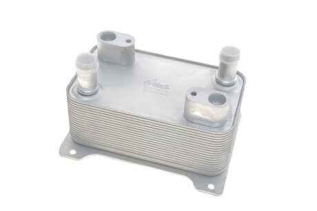 Радиатор масляный VW Passat (06-11)/Audi A8 (04-10) Vika 13171597001
