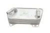 Радиатор масляный Skoda Kodiaq (17-),Octavia (13-18)/VW Golf (13-17),Jetta (15-18),Passat (15-),Polo (18-),Tiguan (12-17,18-) VIKA Vika 14091597001 (фото 3)