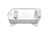Радиатор масляный Skoda Octavia (04-13,14-)/VW Golf (04-),Jetta (06-),Passat (06-),Tiguan (12-)-/Audi A3 (04-13),TT (07-) VIKA Vika 34090831001 (фото 4)