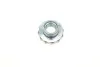 Гайка ступицы Skoda Fabia (00-15,15-), Roomster (06-10,11-15)/Seat Ibiza (02-12,13-), Toledo (13-16) VIKA Vika 54070057301 (фото 1)