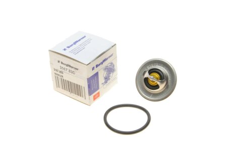 Термостат WAHLER 3167.83D